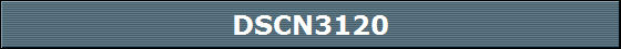DSCN3120