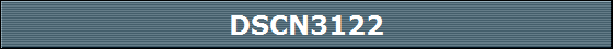 DSCN3122