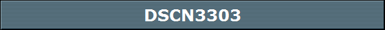 DSCN3303
